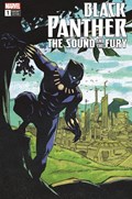 BLACK PANTHER: THE SOUND AND FURY #1-EBAY 