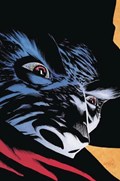 THE SHADOW #4-RI-D 