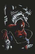 THE AMAZING SPIDER-MAN #801-CMXP-C 