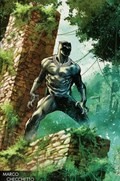 BLACK PANTHER #170C 