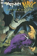 BATMAN/THE MAXX: ARKHAM DREAMS #3-RI 