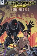 STAR WARS ADVENTURES: DESTROYER DOWN #3-RI 