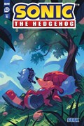 SONIC THE HEDGEHOG #62-RI 