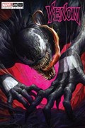 VENOM #28-UNKN-E 