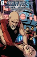 STAR TREK: THE NEXT GENERATION - THROUGH THE MIRROR #1-RI-C 