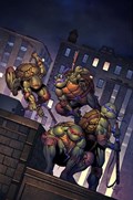 TEENAGE MUTANT NINJA TURTLES: URBAN LEGENDS #1-PLAC-B 