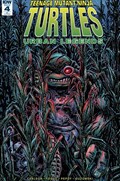 TEENAGE MUTANT NINJA TURTLES: URBAN LEGENDS #4-RI 