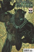 BLACK PANTHER #24D 