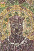 BLACK PANTHER #25H 