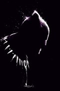 BLACK PANTHER #25-PGA 