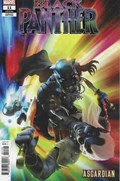 BLACK PANTHER #11B 