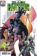 BLACK PANTHER #19B 