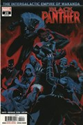 BLACK PANTHER #20 