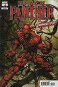 BLACK PANTHER #14B 