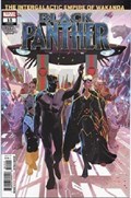 BLACK PANTHER #15 