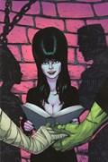ELVIRA: MISTRESS OF THE DARK #4-RI-B 