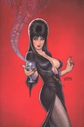 ELVIRA: MISTRESS OF THE DARK #4-RI-E 