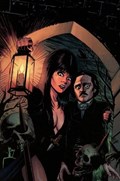 ELVIRA: MISTRESS OF THE DARK #2-RI-B 