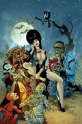 ELVIRA: MISTRESS OF THE DARK #11-RI-C 