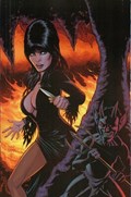 ELVIRA: MISTRESS OF THE DARK #8-RI-B 