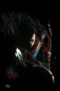 THE AMAZING SPIDER-MAN #78-ILLUM-B 