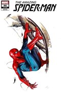 THE AMAZING SPIDER-MAN #88-FRANK 