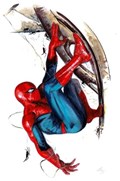 THE AMAZING SPIDER-MAN #88-FRANK-B 