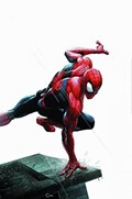 THE AMAZING SPIDER-MAN #1-CMXP-D 