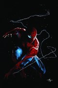 THE AMAZING SPIDER-MAN #1-IGCS 