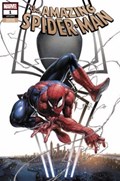 THE AMAZING SPIDER-MAN #1-CRAIN-D 