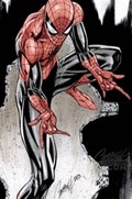 THE AMAZING SPIDER-MAN #14-JSC-D 