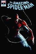 THE AMAZING SPIDER-MAN #2-CMXP-C 