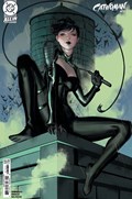 CATWOMAN #72C 