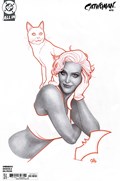 CATWOMAN #70B 