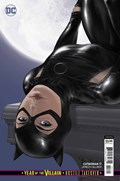 CATWOMAN #17B 