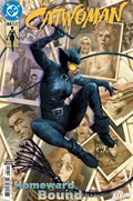 CATWOMAN #84 