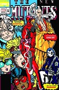 CABLE & DEADPOOL ANNUAL #1-FRANK 