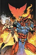 VAMPIRELLA #13-RI-B 