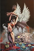 VAMPIRELLA #11-RI-B 