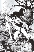 VAMPIRELLA #19-RI-C 