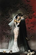 VAMPIRELLA #25-RI-P 