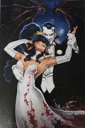 VAMPIRELLA #25-RI-S 