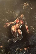 VAMPIRELLA #14-MBEAV 