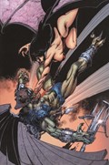 VAMPIRELLA #23-RI-C 