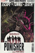 WAR OF THE REALMS: PUNISHER #2-RI 