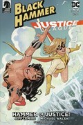 BLACK HAMMER/JUSTICE LEAGUE: HAMMER OF JUSTICE #5E 