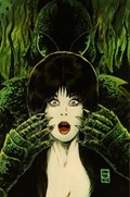 ELVIRA THE SHAPE OF ELVIRA #1-RI-B 