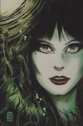 ELVIRA THE SHAPE OF ELVIRA #2-RI 