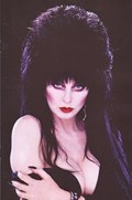 ELVIRA THE SHAPE OF ELVIRA #2-RI-D 