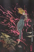 BUFFY THE VAMPIRE SLAYER #12C 